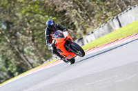 Advanced Group Orange Bikes